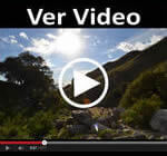 Ver Video